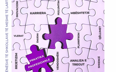 Raporti “Praktika Profesionale”